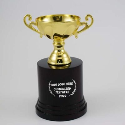 Cup Trophy best corporate gifts for employees